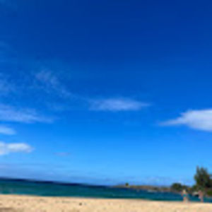 Meet your Posher, Mavis